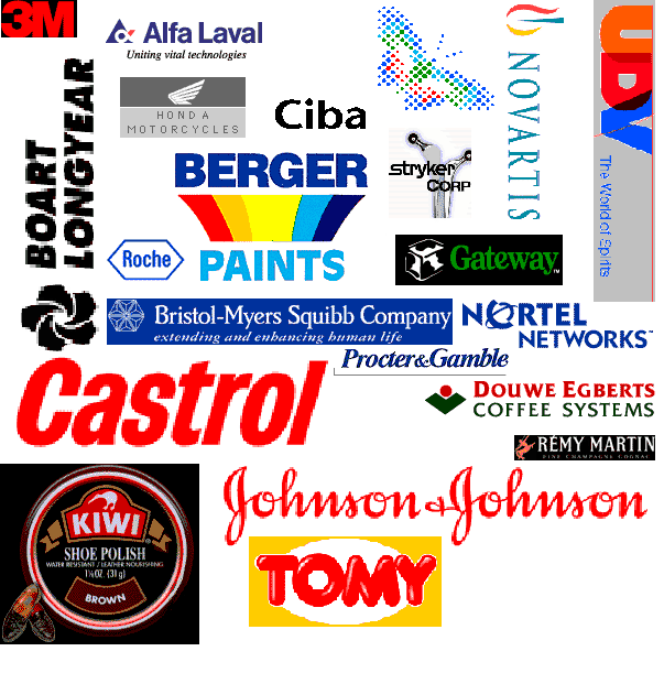 Millennium Solutions Sample Client Base
