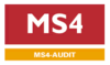 MS4 Audit